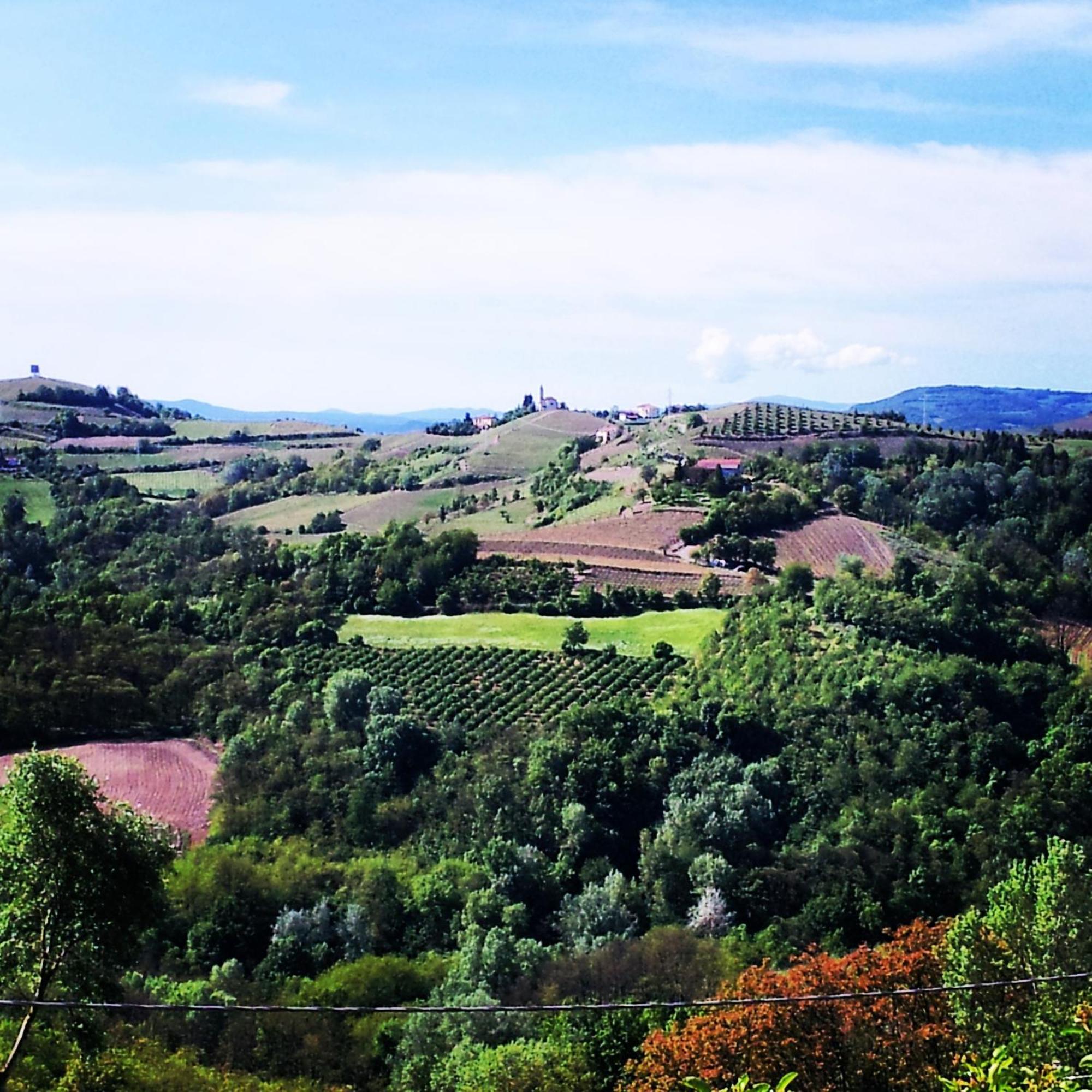 Bed And Breakfast Val D'Oche Castel Boglione エクステリア 写真