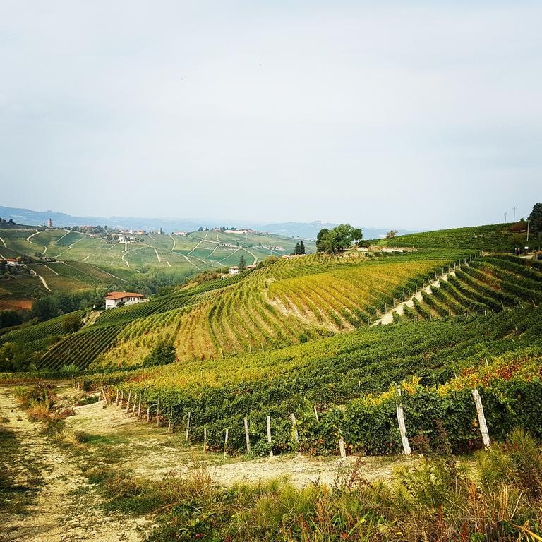 Bed And Breakfast Val D'Oche Castel Boglione エクステリア 写真